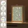Botanisch - Vogels - Groen Light Box met kabel (Tafellamp) klein 925 -USP_NL