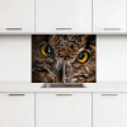 Uil - Dier - Oranje keuken achterwand 2 middel -3d