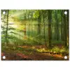 Zon - Bos - Bomen - Natuur - Herfst tuinposter los doek klein -3d