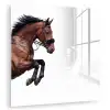 Paard - Springen - Modern plexiglas 5mm klein -zzzproduct_nieuw