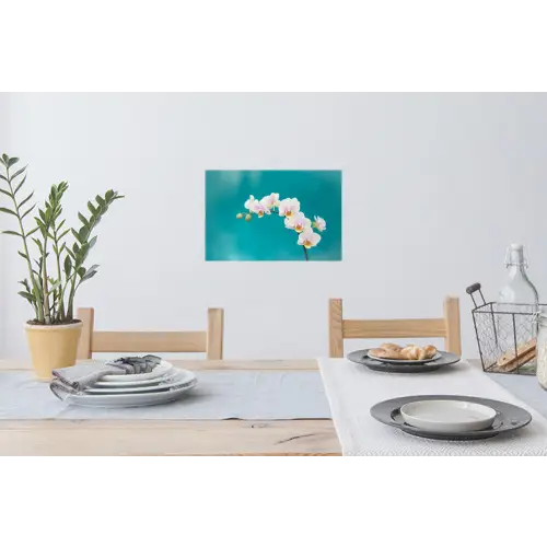 Orchidee - Bloemen - Plant - Wit - Paars Muursticker klein -eettafel