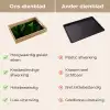 Bladeren - Schaduw - Groen - Textuur Dienblad Rechthoek middel -USP_VergelijkingNL