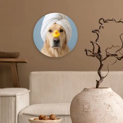 Hond - Badeend - Geel Wandcirkel kunststof plaat 5mm dik klein -sfeer1