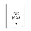 Spreuken - Quotes - Pluk de dag - Carpe diem aluminium wit klein -3d