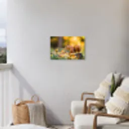 Eekhoorn - Herfst - Bosdieren - Herfstbladeren - Bos Tuinposter op houten frame 2 cm dik klein -sfeer1