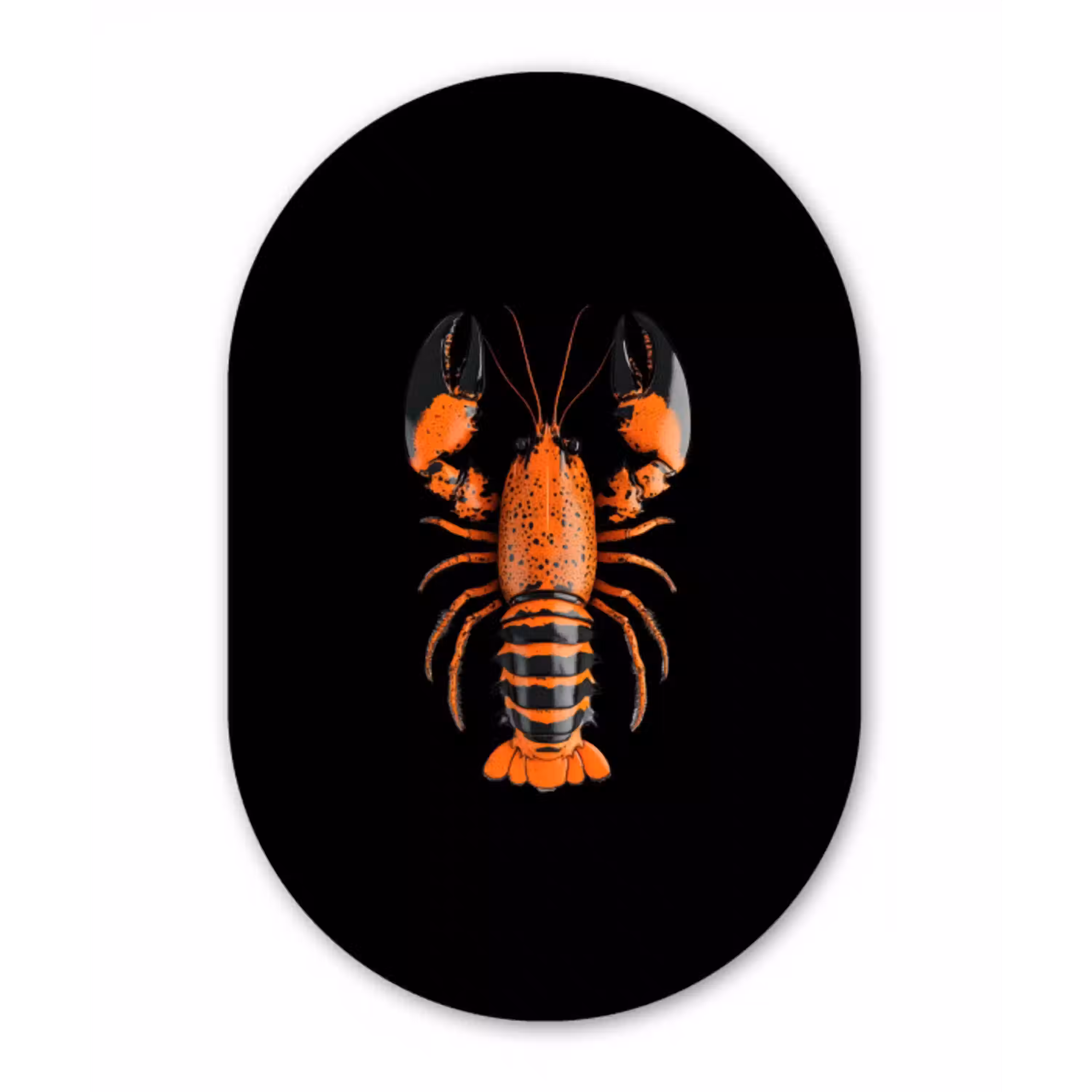 Kreeft - Oranje - Zwart - Modern Wandcirkel Ovaal Glas middel -3d