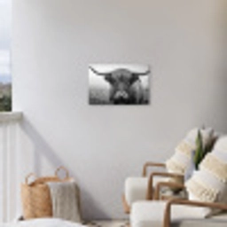 Schotse hooglander - Zwart - Wit - Gras Tuinposter op houten frame 2 cm dik klein -sfeer1