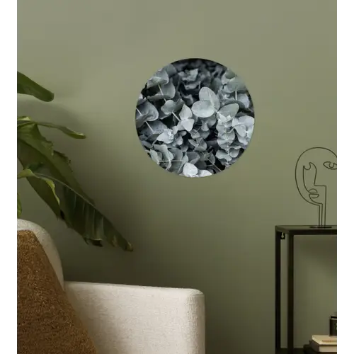 Natuur - Planten - Eucalyptus - Bladeren Wandcirkel behangsticker klein -sfeer2