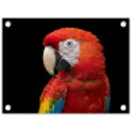 Ara - Portret - Rood tuinposter los doek klein -3d