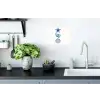 Zeester - Schelpen - Blauw Muursticker klein -keuken