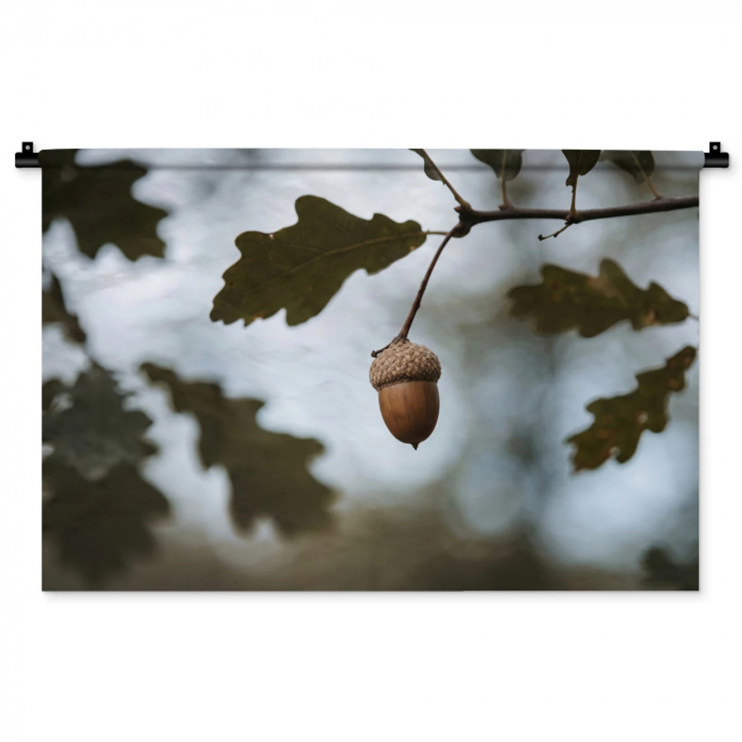Eikel - Eikenblad - Bos - Herfst - Natuur Wandkleed katoen middel -zz3d