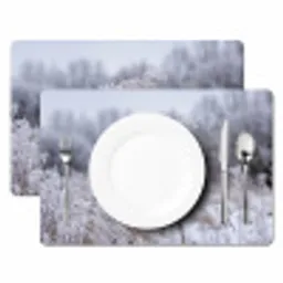 Schermbloem - Rijp - Kristallen - Winter - Delicaat Placemat vinyl groot -zzsfeer2_Kitchenyeah-website