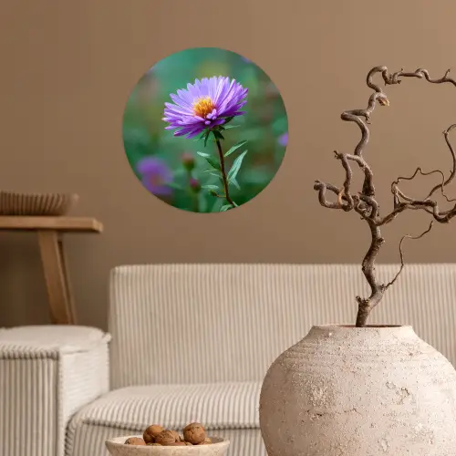 Aster - Paars - Bloem - Blaadjes Wandcirkel behangsticker klein -sfeer1