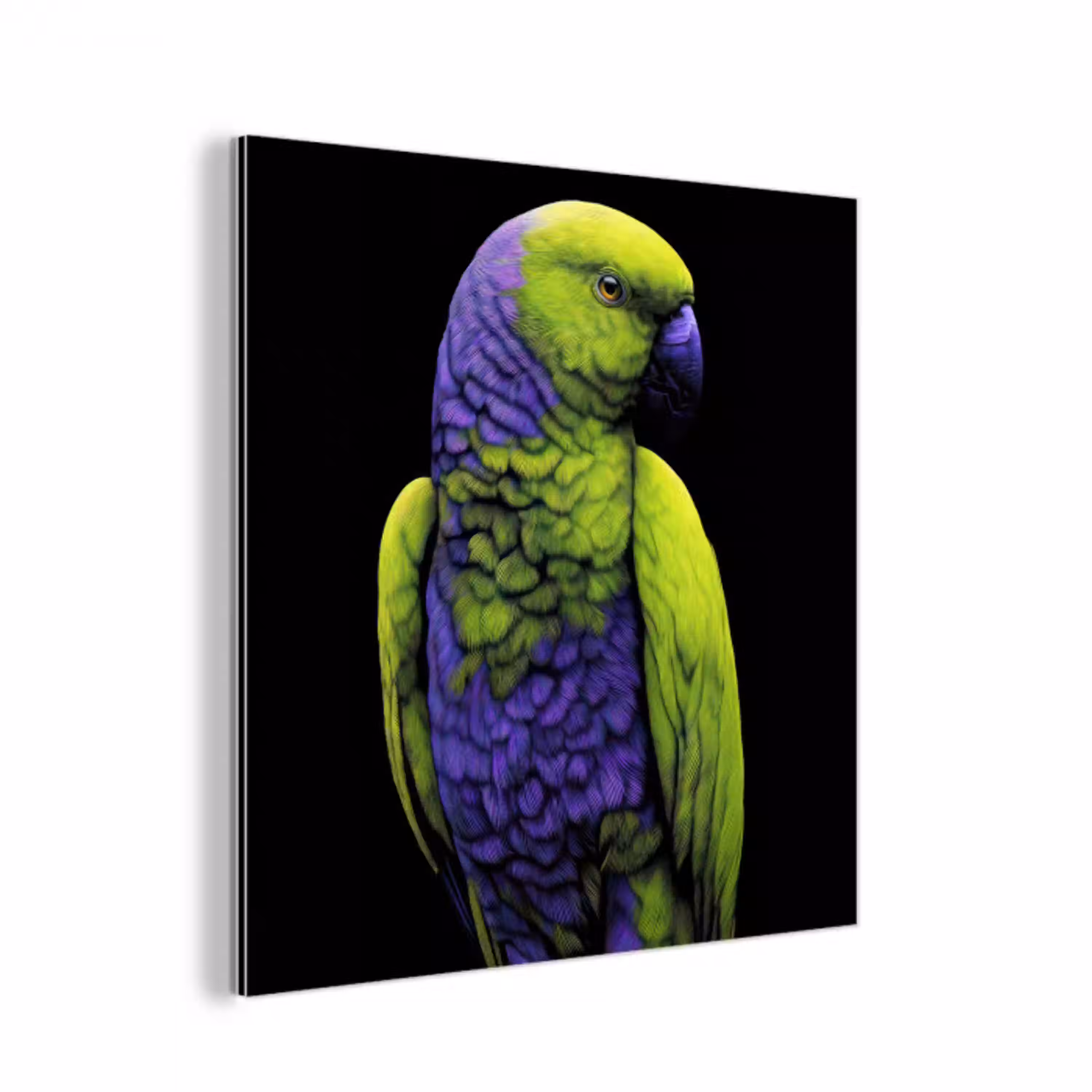 Papegaai - Veren - Opvallend - Groen aluminium wit klein -3d