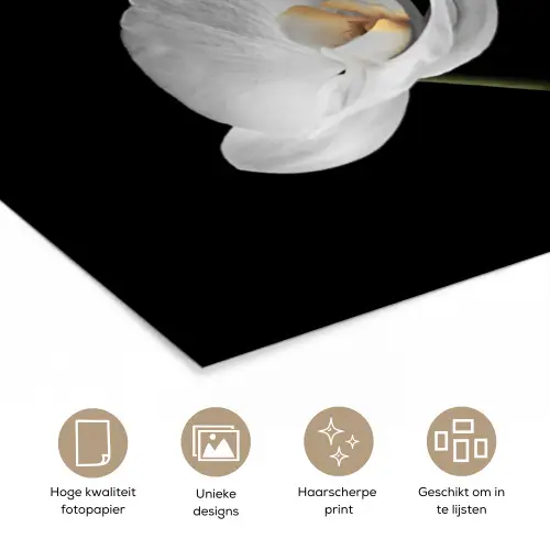 Orchidee - Bloemen - Zwart - Wit - Stilleven poster papier klein -closeup_NL