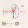 Kreeft - Waterverf - Aquarel - Oranje Akoestische PET Vilt - Rond klein -USP_NL