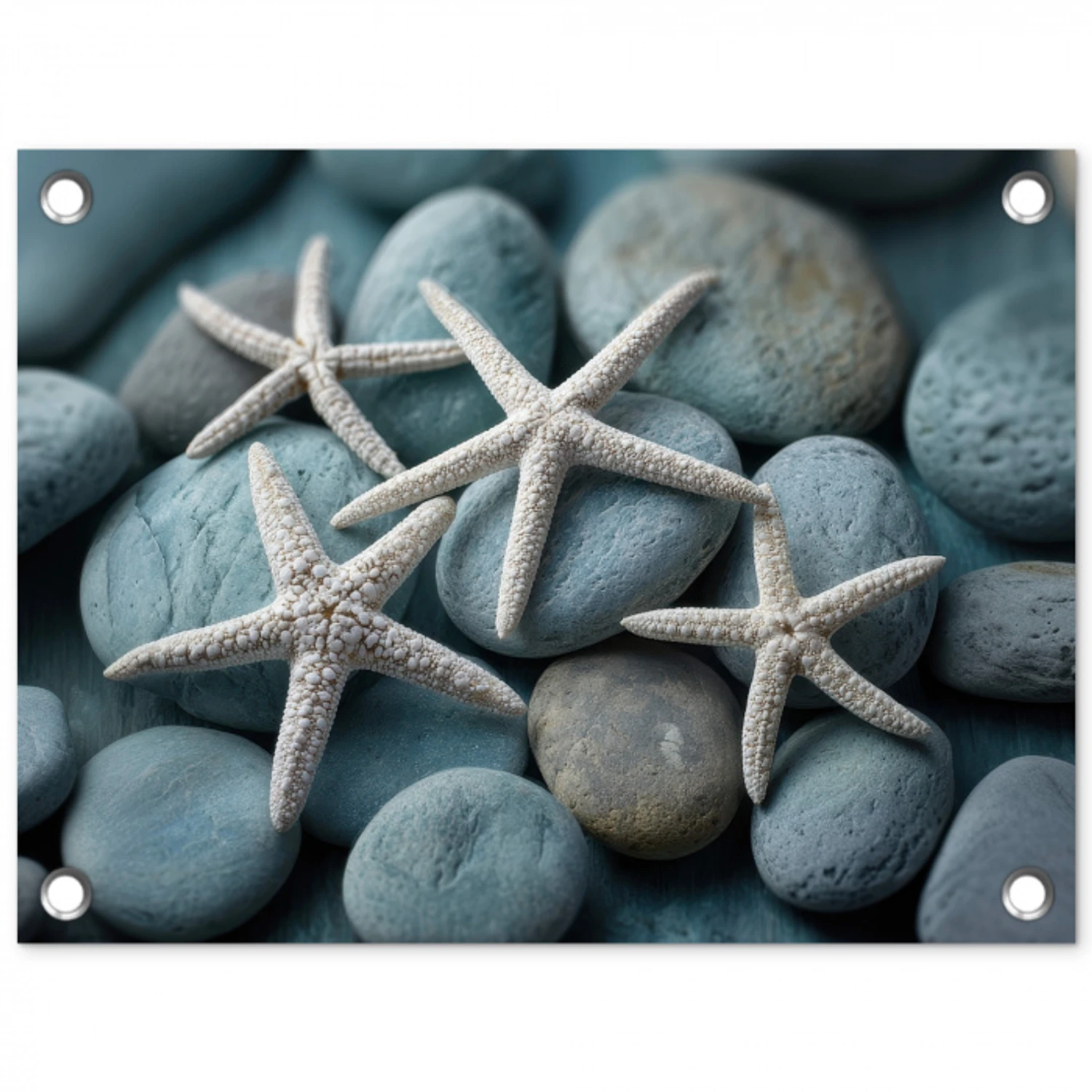 Zeesterren - Stenen - Wit tuinposter los doek klein -3d