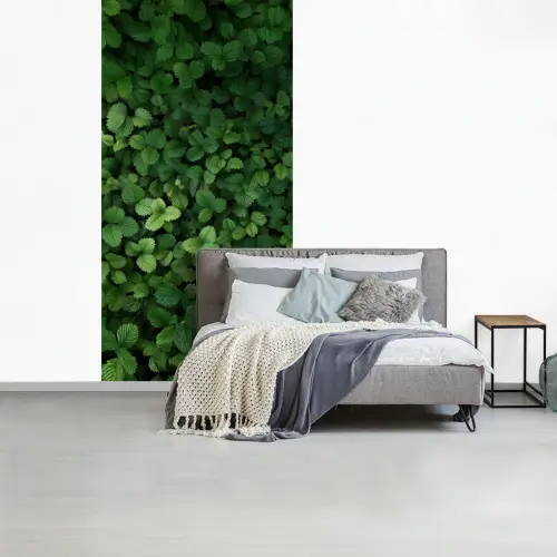 Groen - Bladeren - Kartel - Zonlicht fotobehang vinyl groot -slaapkamer