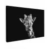 Giraffe - Dier - Zwart - Wit canvas 2cm klein -z3d