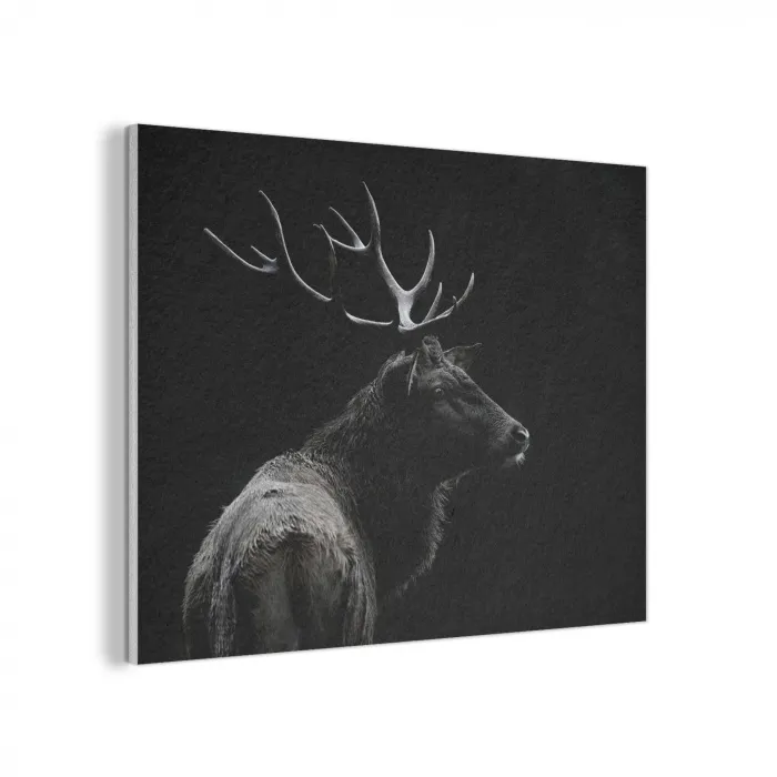 Hert - Zwart - Portret - Gewei - Dieren PET vilt klein -3d