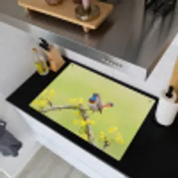 Vogel - Tak - Natuur - Kleurrijk Inductie beschemer met haakjes klein -sfeer1