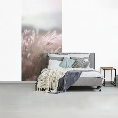 Graspluimen - Wind - Beige - Mistig fotobehang vinyl groot -slaapkamer