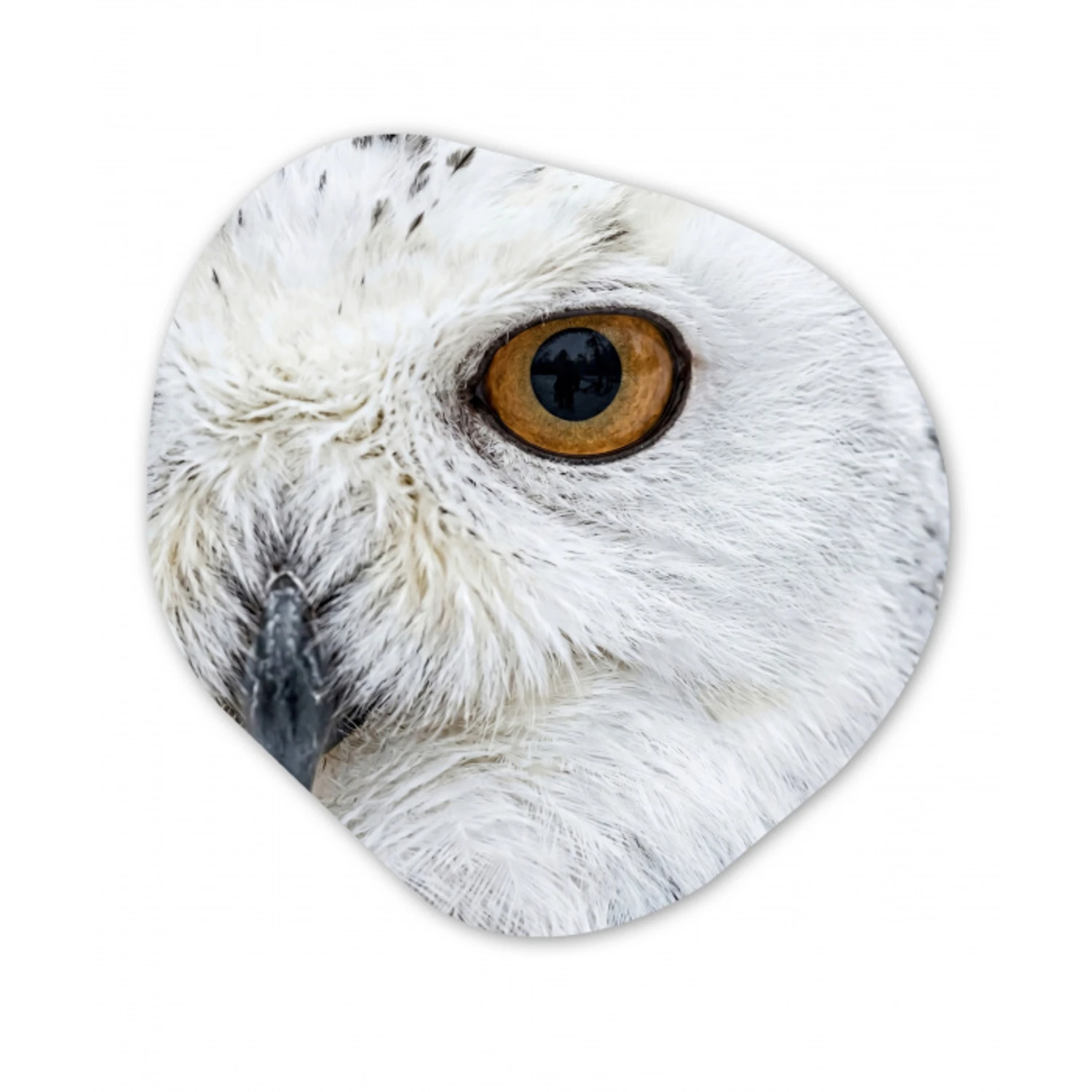 Sneeuwuil - Oog - Wildlife - Wit Wandcirkel Organisch Aluminium middel -3d