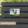Koe in de Weide tuinposter los doek klein -sfeer3