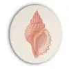 Schelp - Roze - Structuur Akoestische PET Vilt - Rond klein -3d