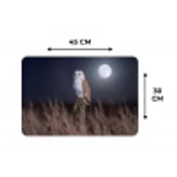 Kerkuil - Maan - Nacht Placemat vinyl groot -specs