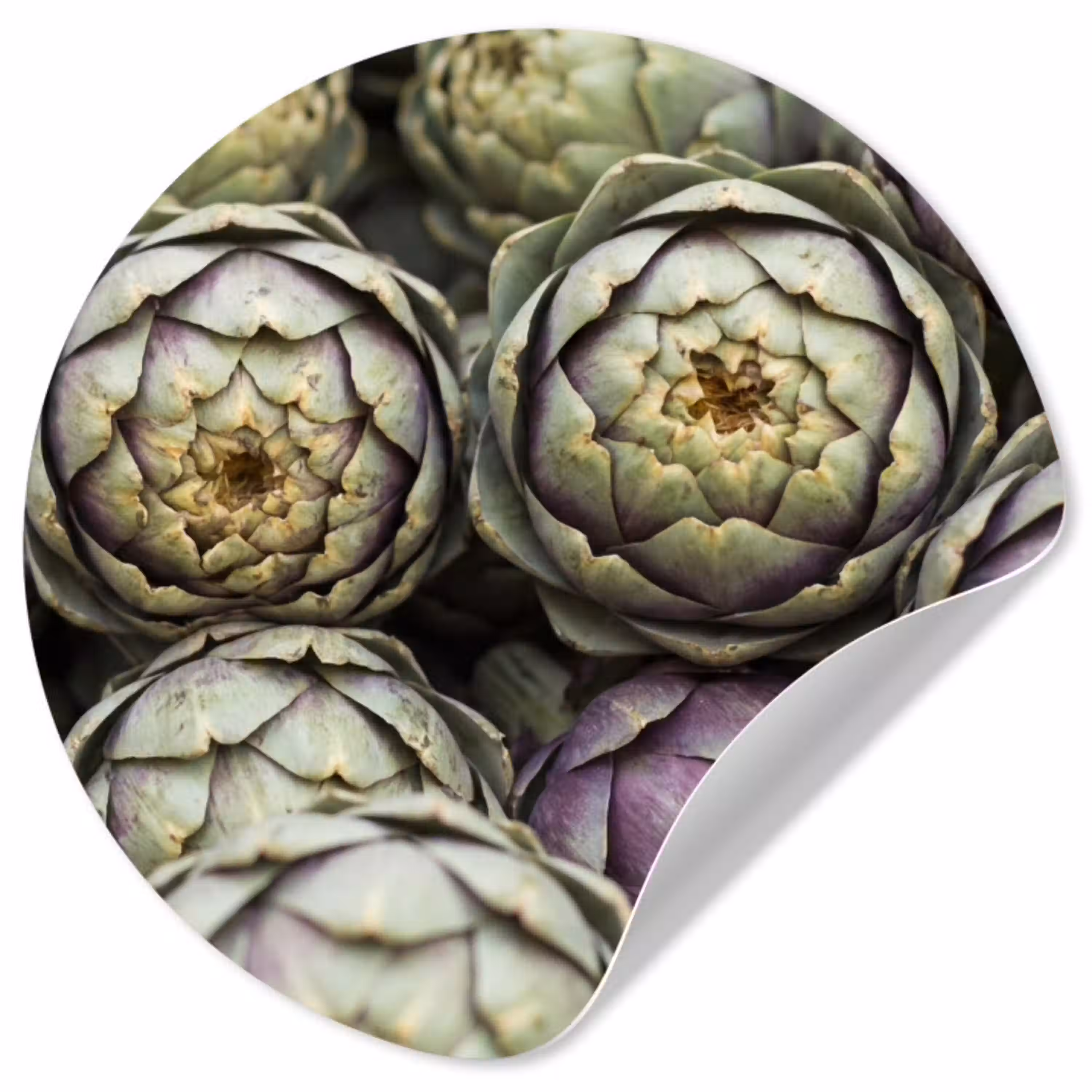 Groenten - Vers - Eten Wandcirkel behangsticker klein -3d