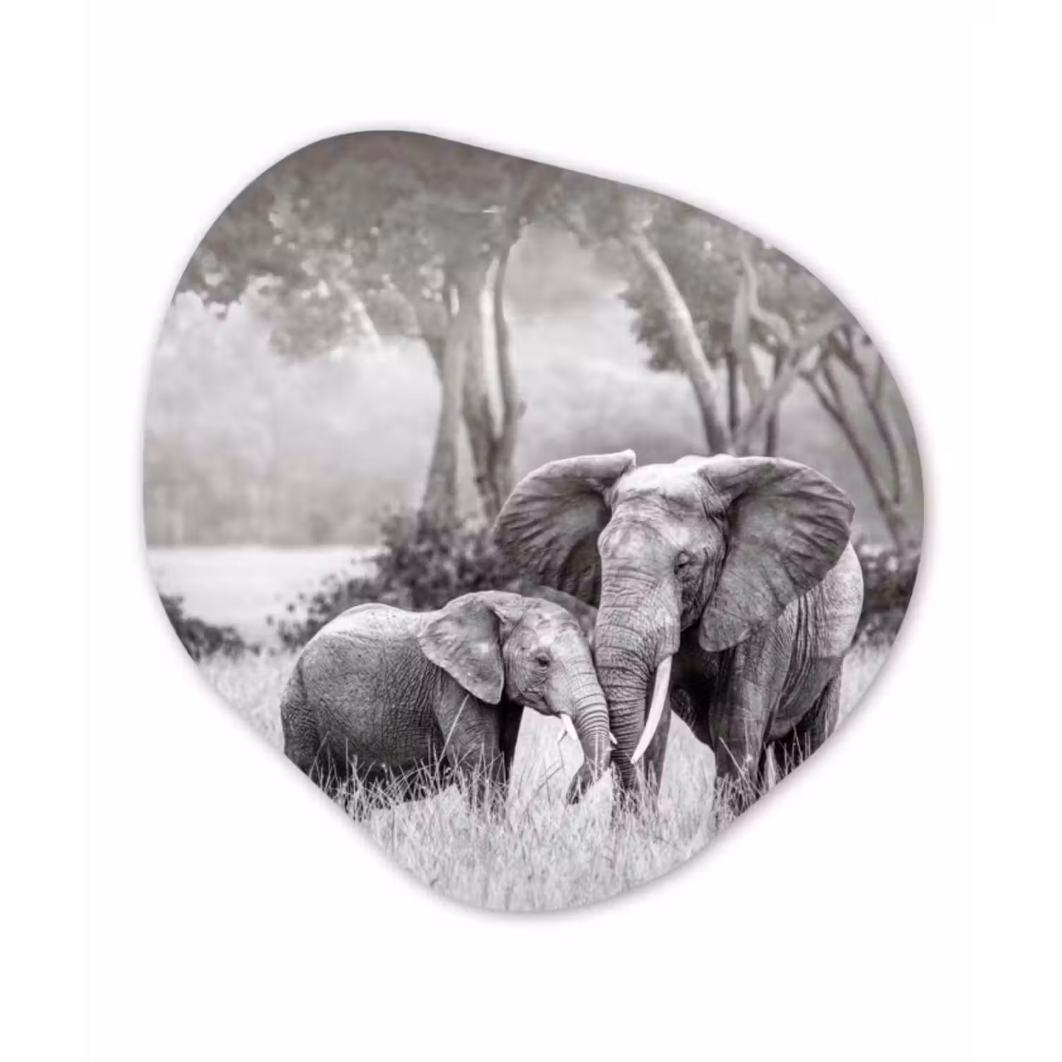Organische Formen – Aluminium – Olifant - Dieren - Natuur - Zwart wit