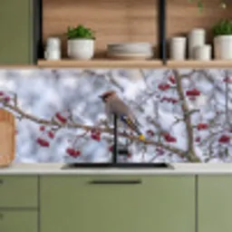 Pestvogel - Bessen - Winter - Natuur keuken achterwand 2 middel -sfeer3