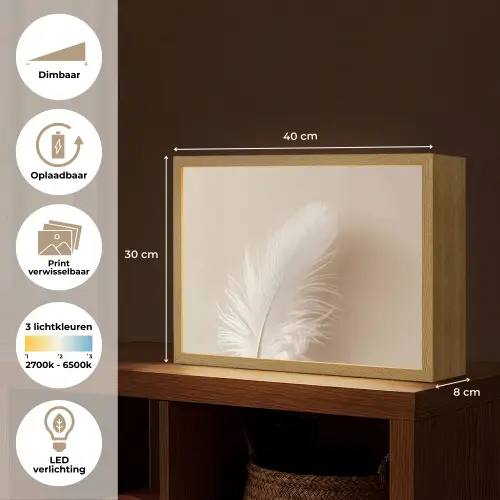 Veer - Minimalistisch - Roze Light Box met batterij (Wandlamp) middel -USP_websiteoverzichtNL