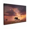 Olifanten - Grasland - Zonsondergang canvas 2cm klein -z3d