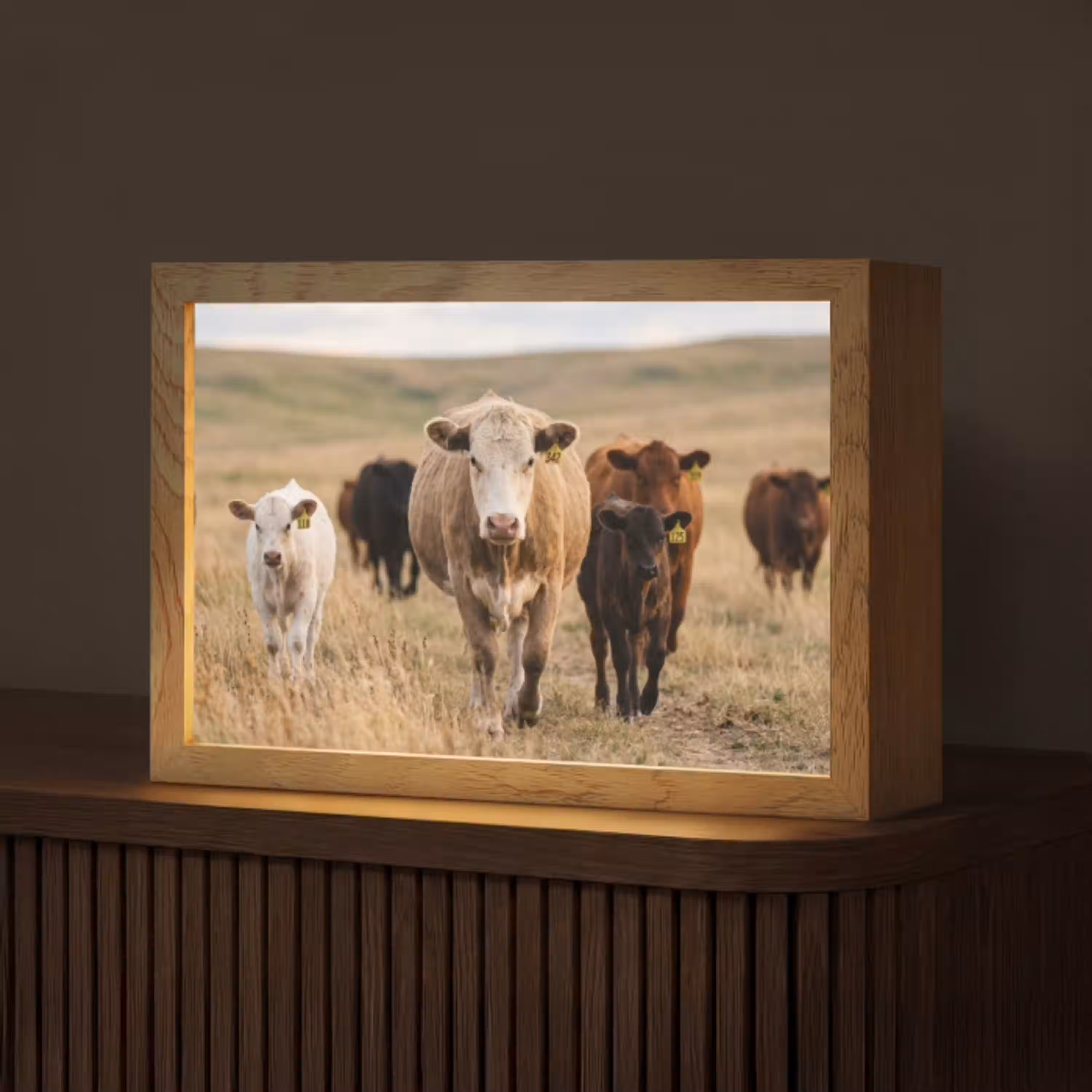 Runderen - Kudde - Landschap - Weide - Rustig Light Box met kabel (Tafellamp) klein -z3d_website