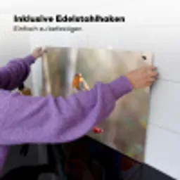 Roodborst - Tak - Bessen - Natuur Inductie beschemer met haakjes klein -ky-ophangen-de