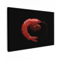 Garnaal - Rood - Dieren Tuinposter op houten frame 2 cm dik klein -3d