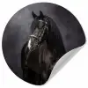 Portret - Paard - Zwart Wandcirkel behangsticker klein -3d