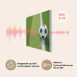 Voetbal - Grasveld - Sport - Groen PET vilt klein -USP_DE