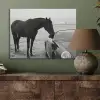 Paard - Auto - Zwart - Wit PET vilt klein -sfeer2
