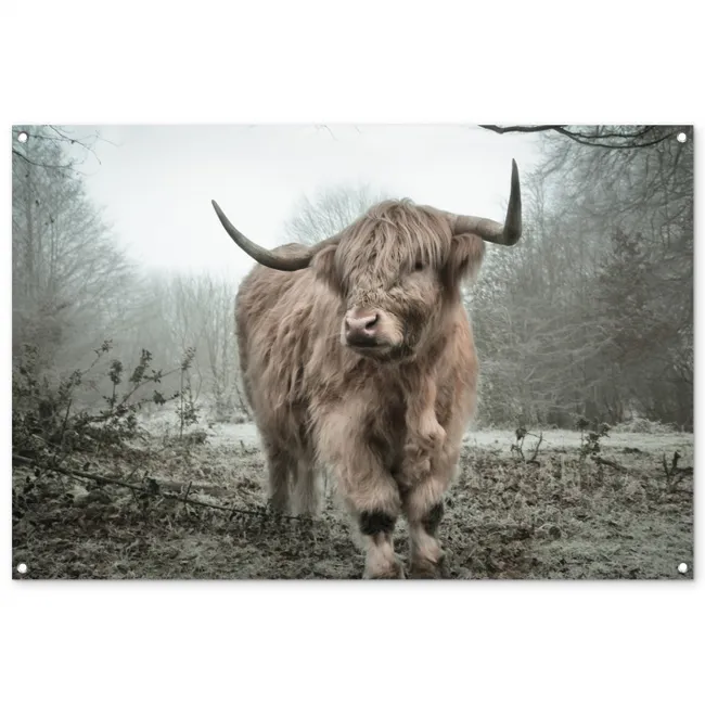 Garden Poster - Highlander in the Mist
