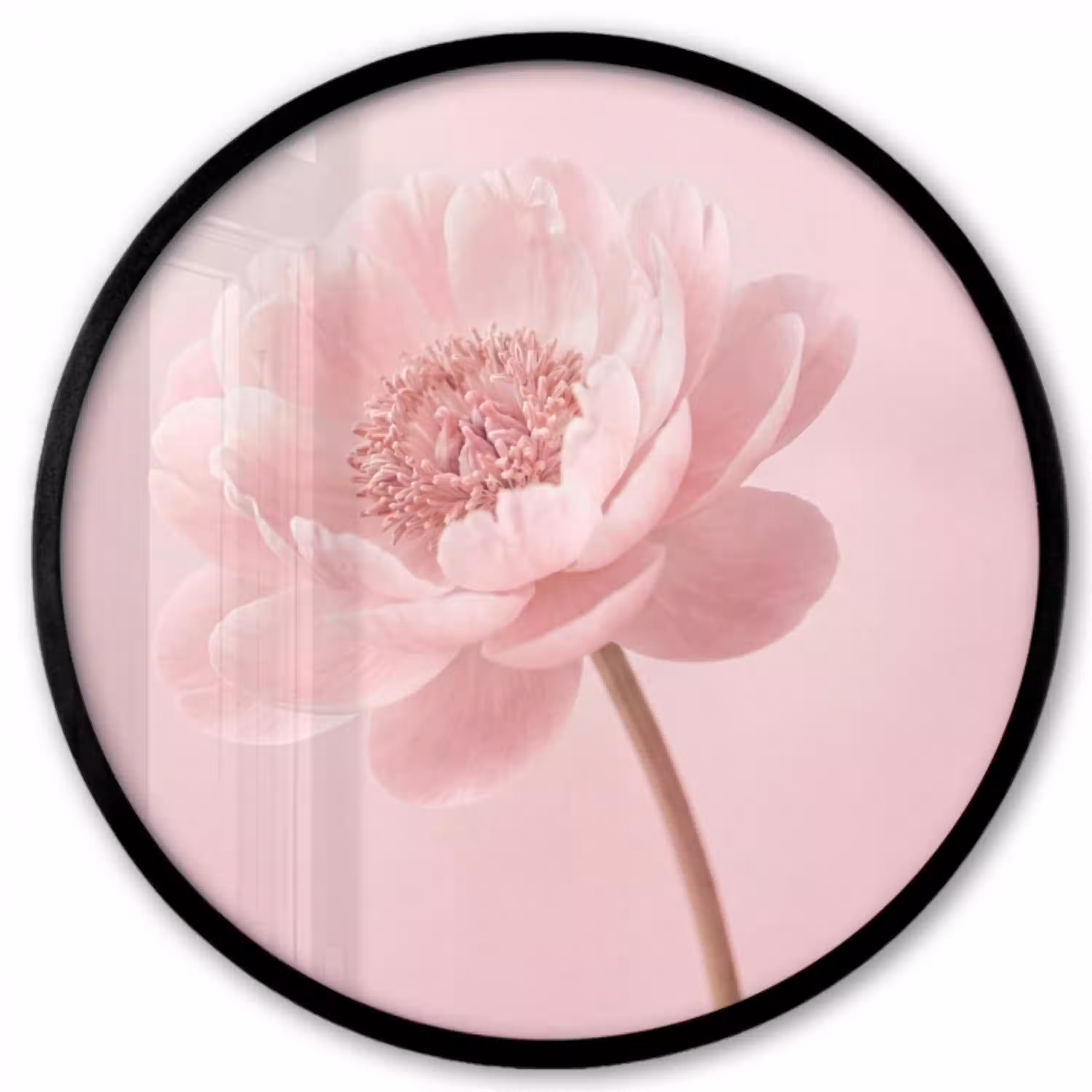 Bloem - Pioenroos - Roze Fotolijst rond zonder passe partout klein -3d