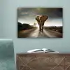 Olifant - Weg - Dieren - Zonsondergang - Landschap canvas 2cm klein -sfeer4