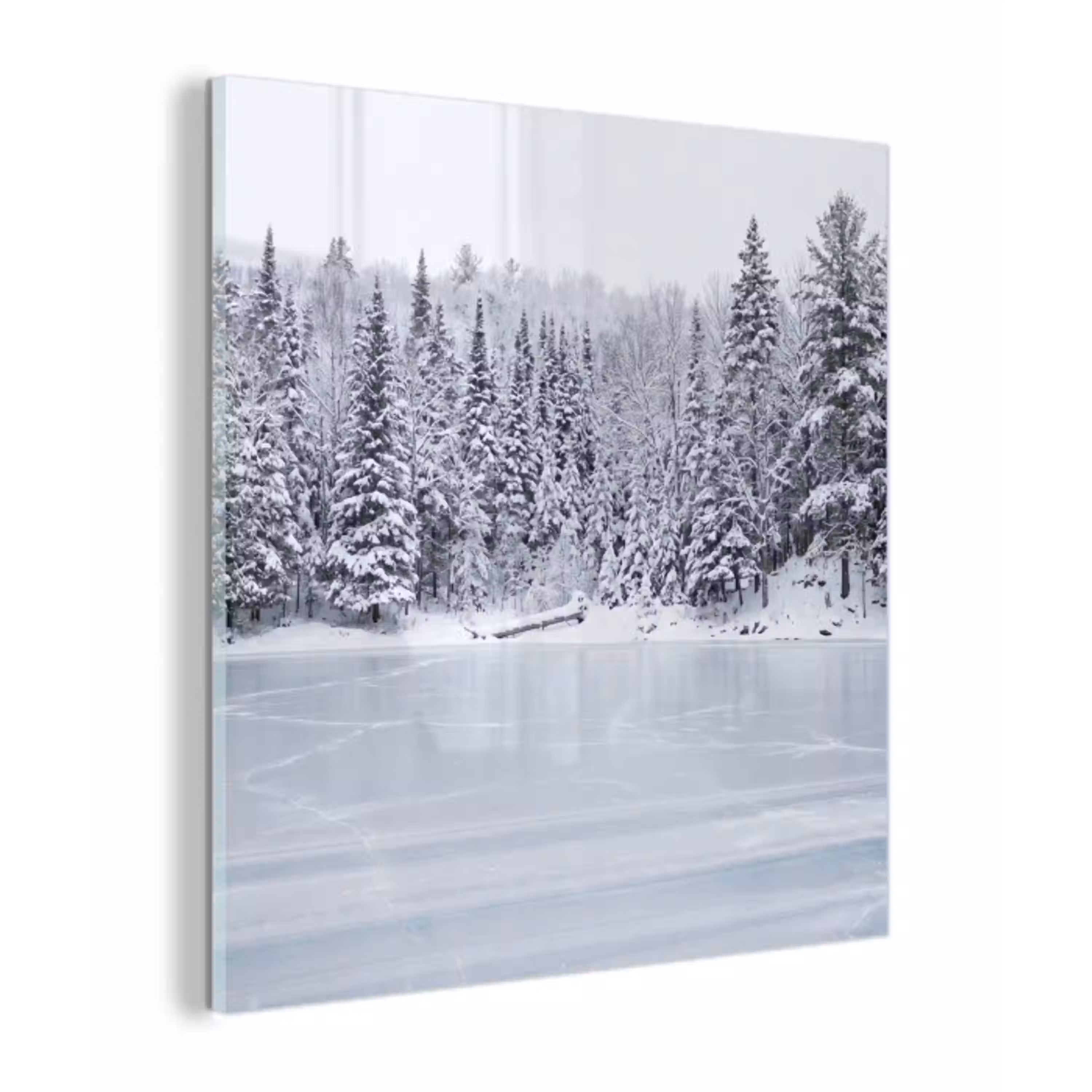 Meer - Dennen - IJs - Winter - Rustgevend plexiglas 5mm klein -z3d