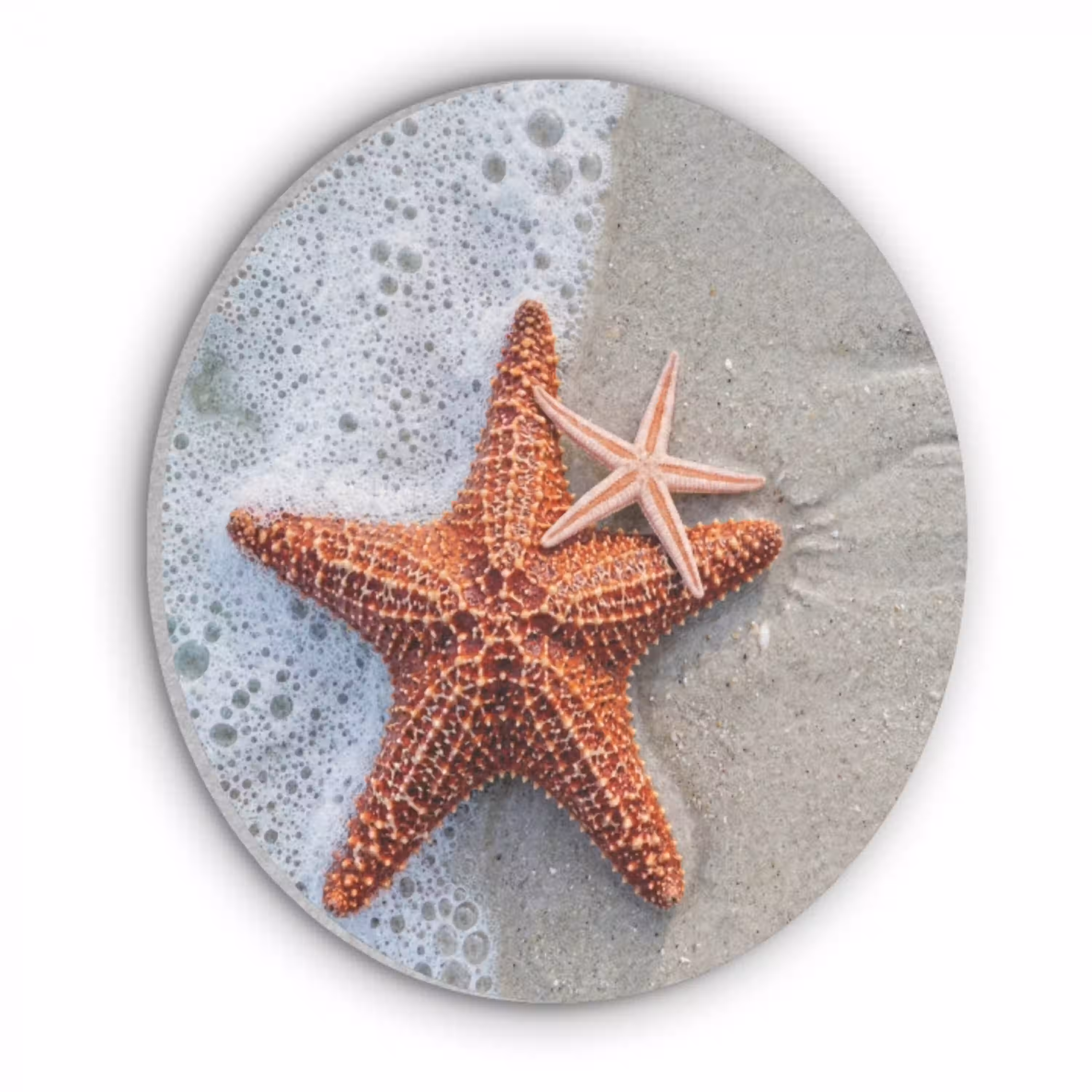 Zeester - Strand - Zee Akoestische PET Vilt - Rond klein -3d