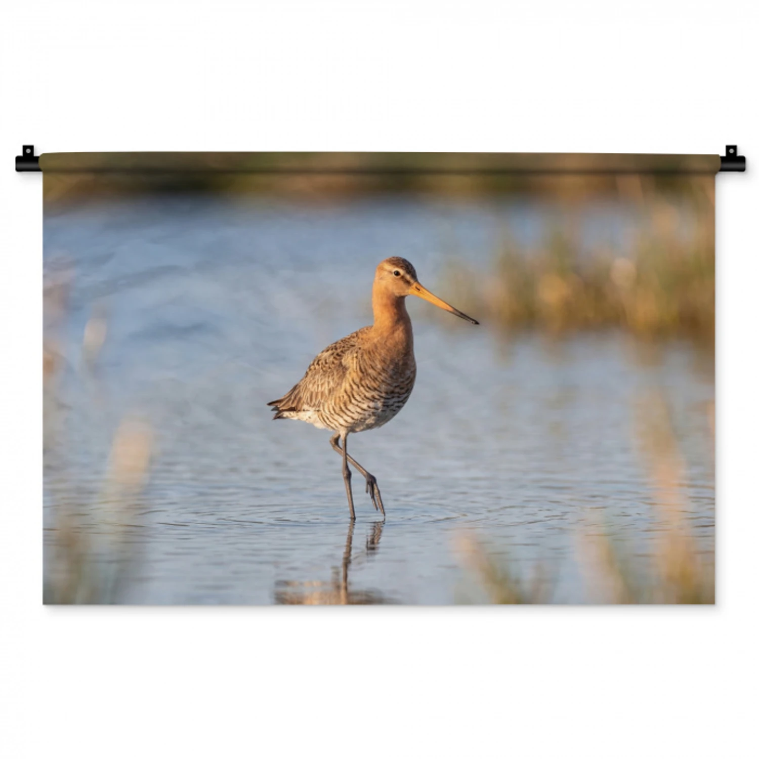 Vogel - Steltloper - Water - Natuur Wandkleed katoen middel -zz3d