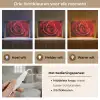 Rood - Roos - Romantisch Light Box met kabel (Tafellamp) klein -USP_lichtkleurNL