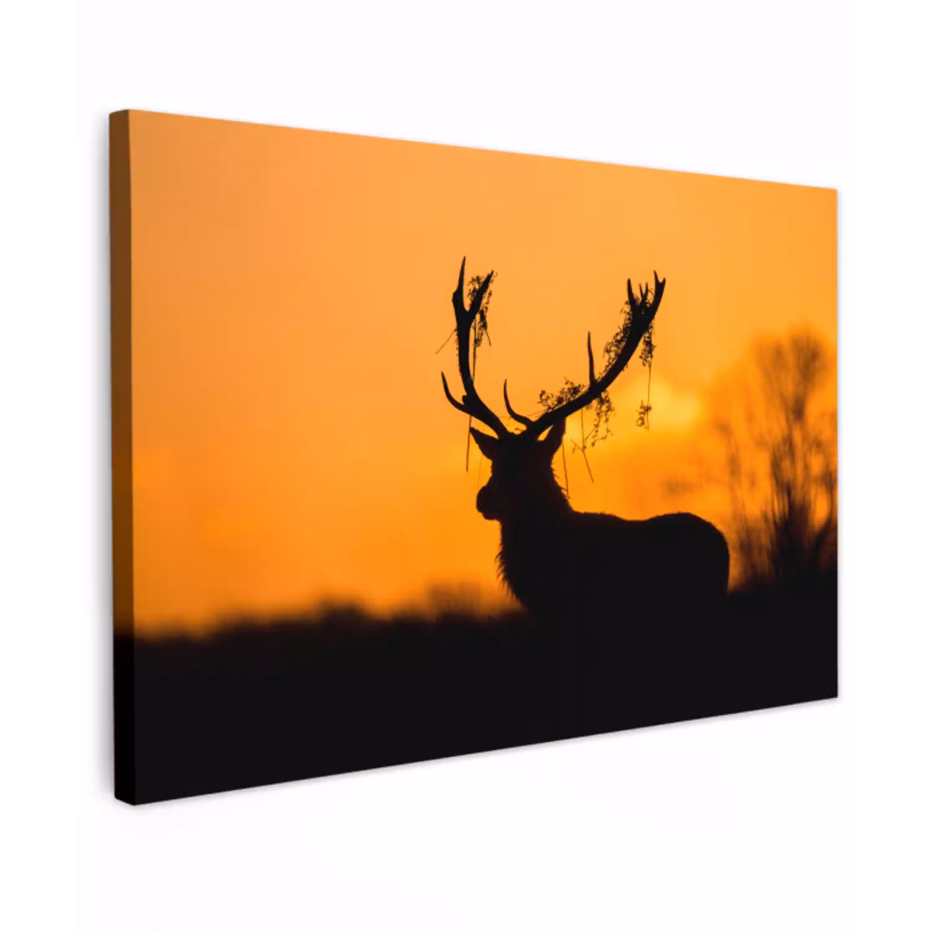 Hert - Oranje - Silhouet - Dieren - Natuur canvas 2cm klein -z3d