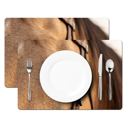 Paard - Oog - Bruin Placemat vinyl groot -zzsfeer2_Kitchenyeah-website